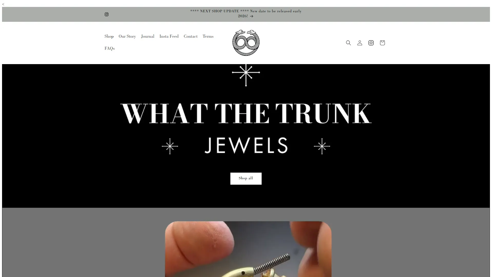 What The Trunk Jewels project